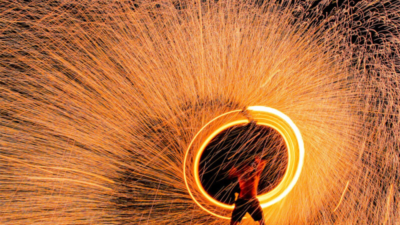 Re Fungo e Mr. Tartufo Codogno (Lodi)